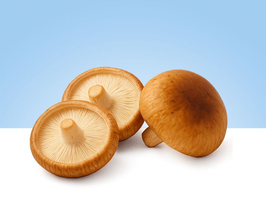 Bandeja de 300 gramos de setas Shitake frescas