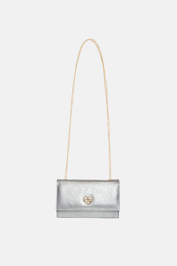 Silver Bag X