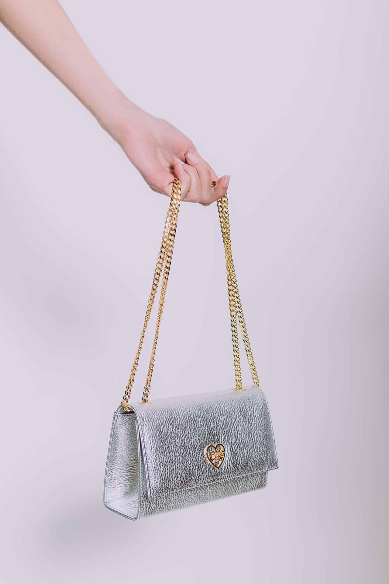 Silver Bag X