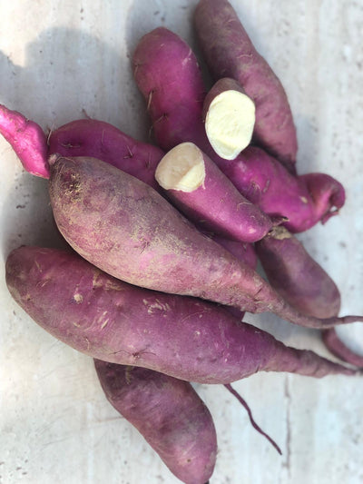 Slavonian White Sweet Potato