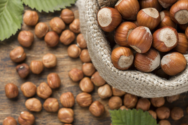 Slavonian Hazelnut