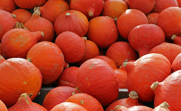 Slavonian Hokkaido pumpkin