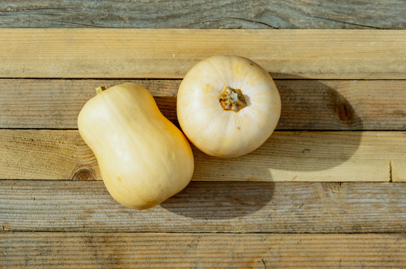 Butternut squash