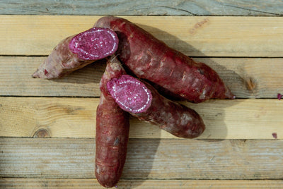 Slavonian Sweet Potato - Purple