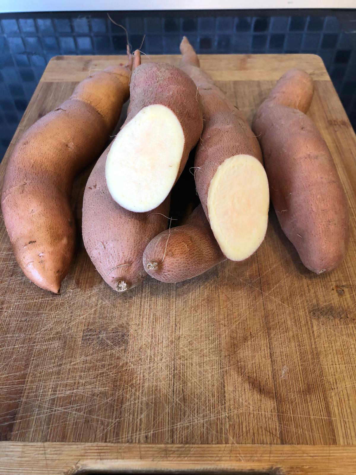 Slavonian Sweet Potato - Golden