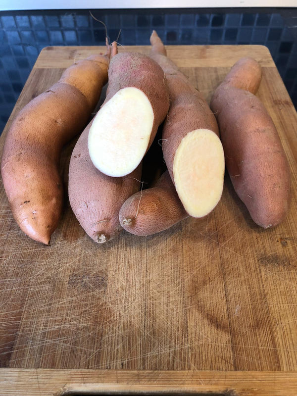 Slavonian Sweet Potato - Golden
