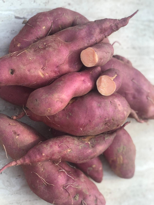 Slavonian Sweet Potato - Yellow