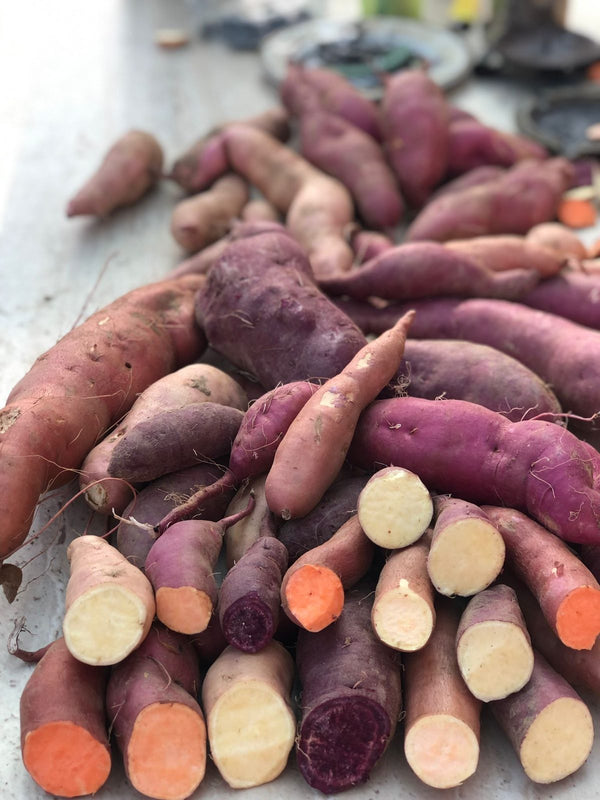 Baby Sweet Potato