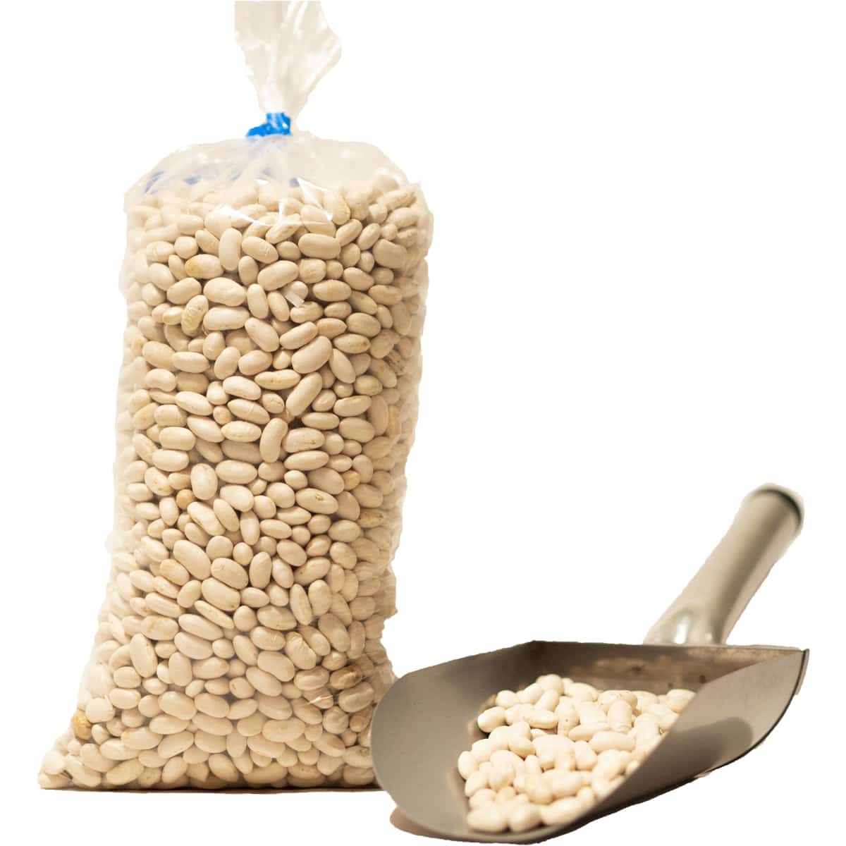 Alubia Blanca Ecológica