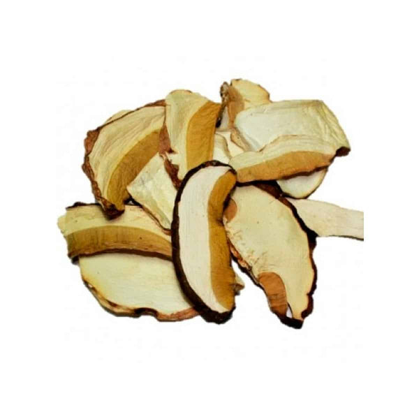 Boletus Edulis