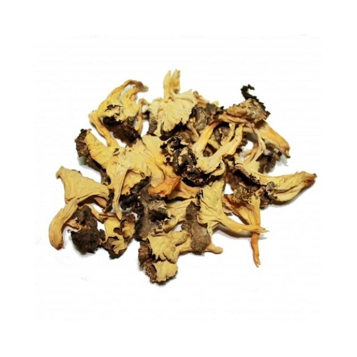 Angula de Monte
