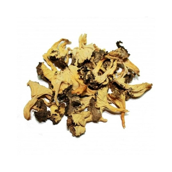 Angula de Monte