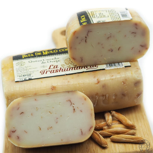 Queso Oveja Curado Patamulo con Cecina