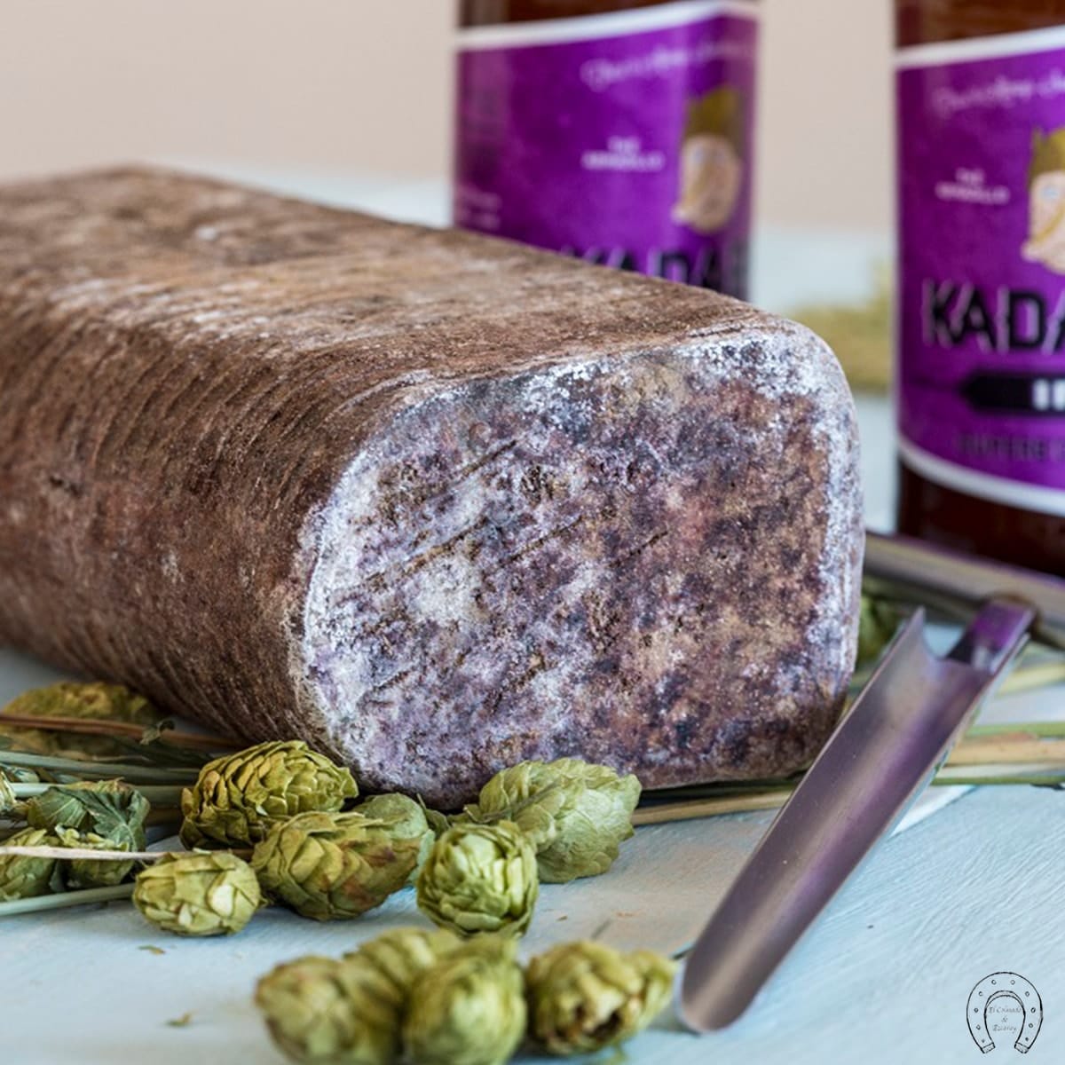 Queso Oveja Cerveza IPA