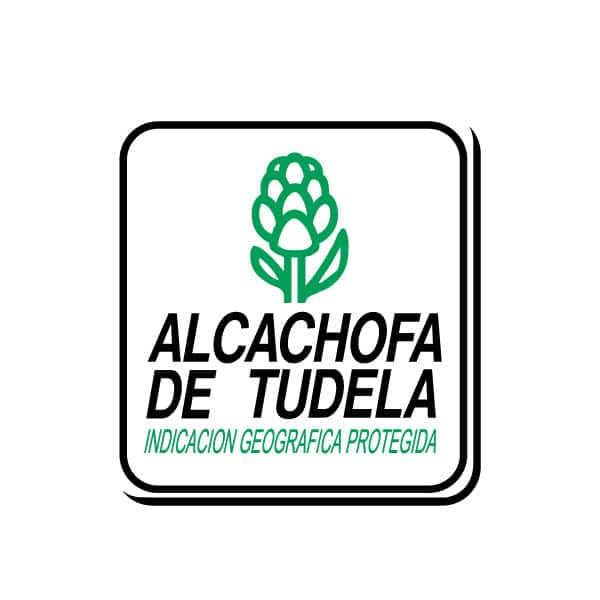 Alcachofa de tudela