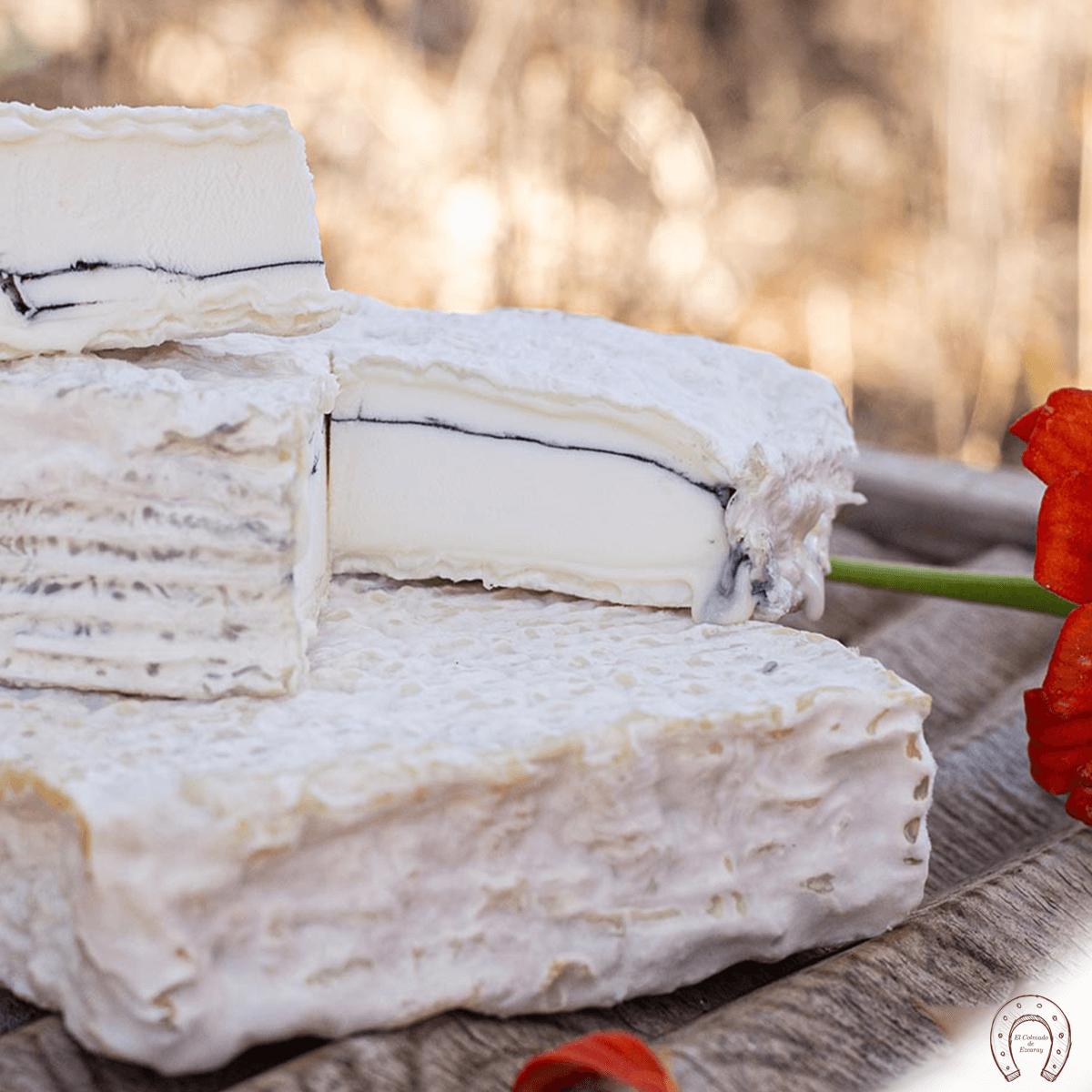 Queso Olavidia, Quesos y Besos. Mejor queso del Mundo 2022