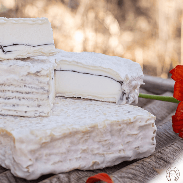 Queso Olavidia, Quesos y Besos. Mejor queso del Mundo 2022