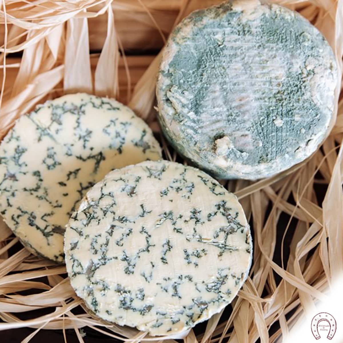 Queso Savel azul Airas Moniz