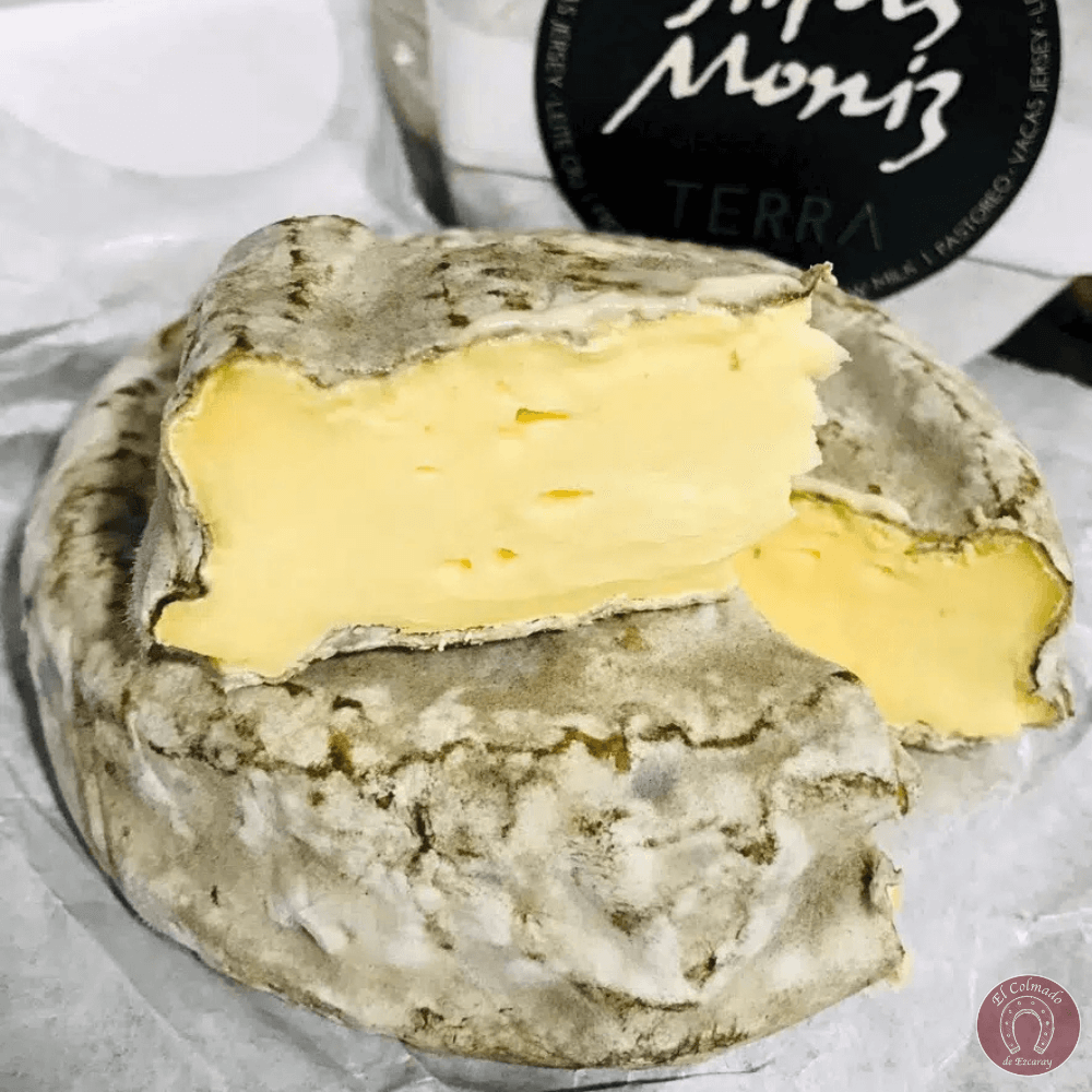 Queso TERRA cremoso de Airas Moniz