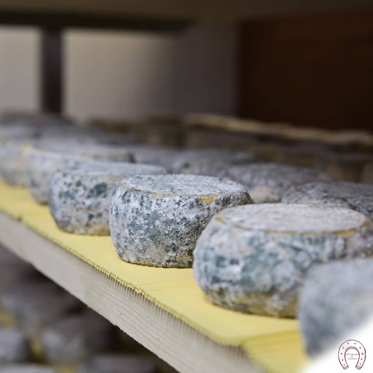 Queso Terra Airas Moniz