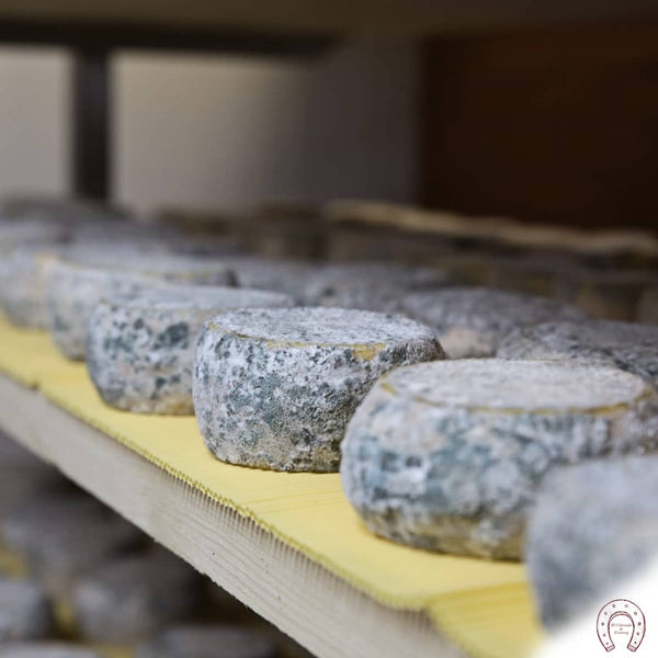 Queso Terra Airas Moniz