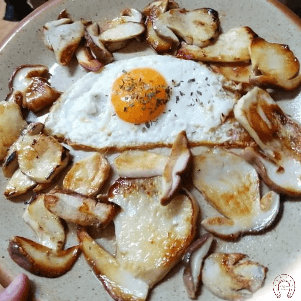 Boletus pino fresco plato