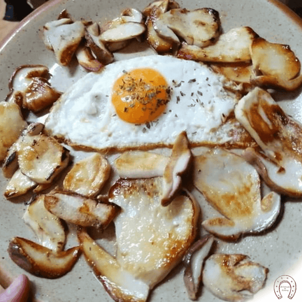 Boletus pino fresco plato