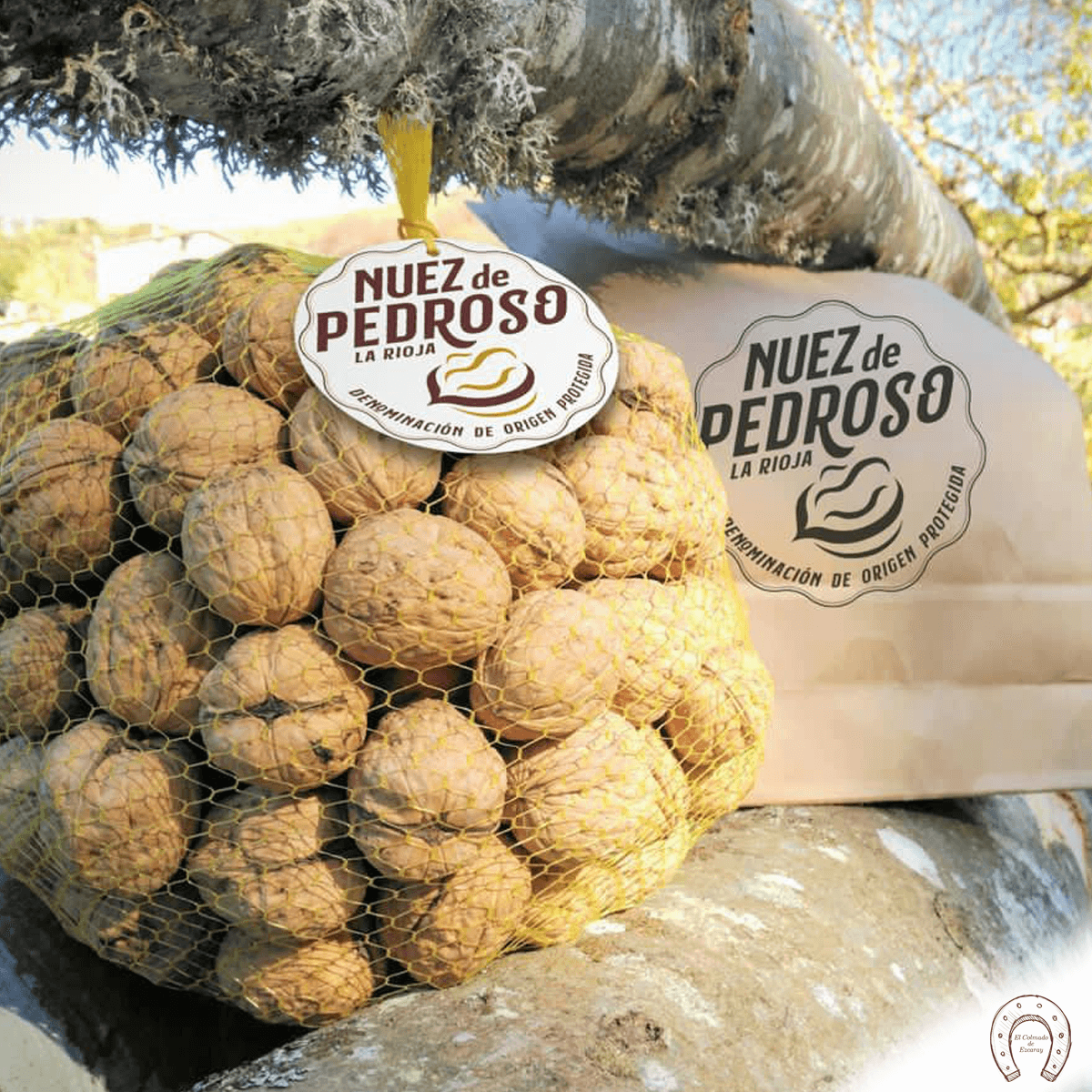 Nuez de Pedroso DOP