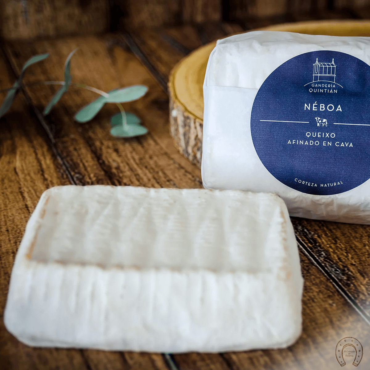 Queso Néboa - Ganadería Quintián Galicia