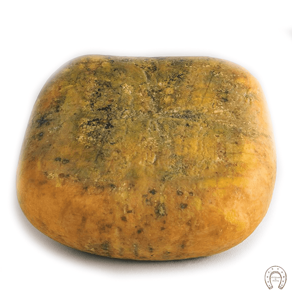Queso Mahón Menorca D.O.P.
