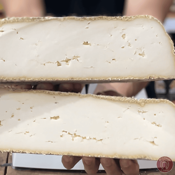 Queso gigante de cabra semicurado, Roca de Cabra, La Rioja.