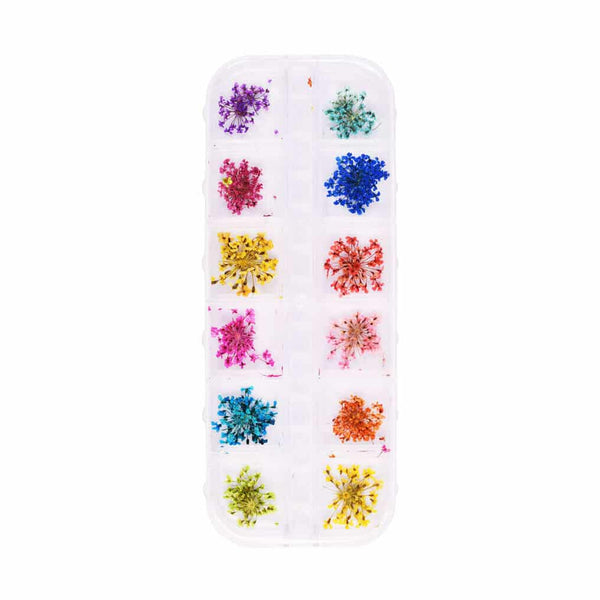 Nail Art Display XL – suho cvijeće – Flower Girl