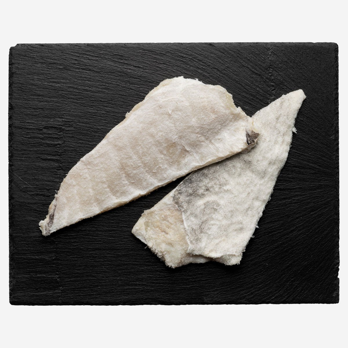 Aleta salada cenital