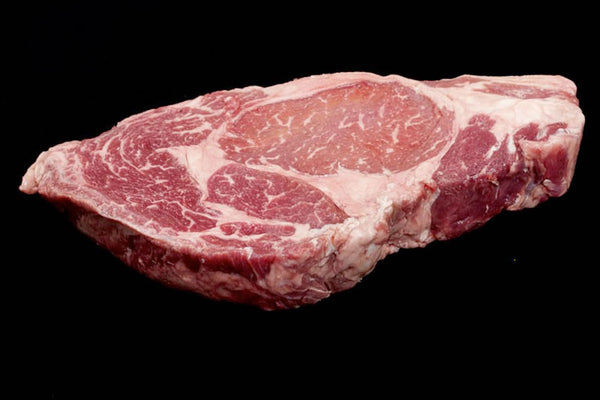 Black angus