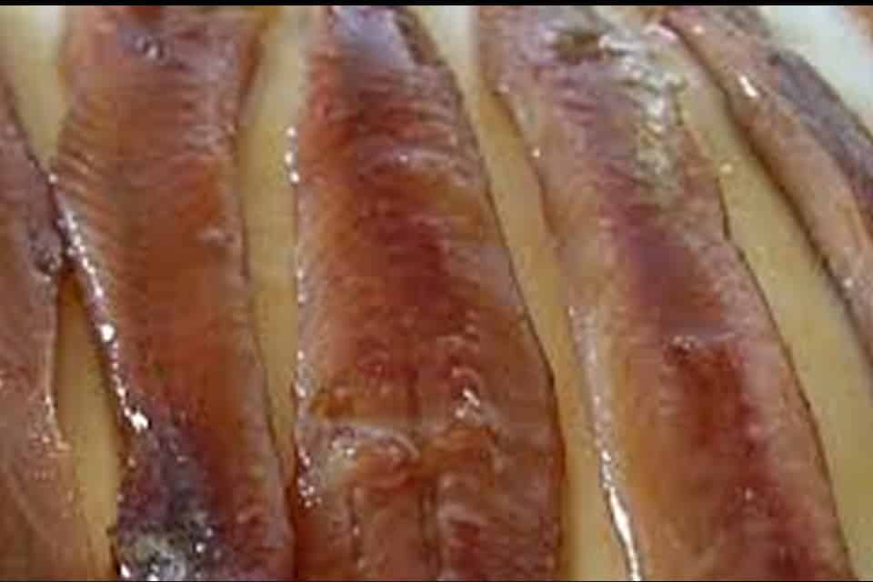Anchoas del Cantábrico