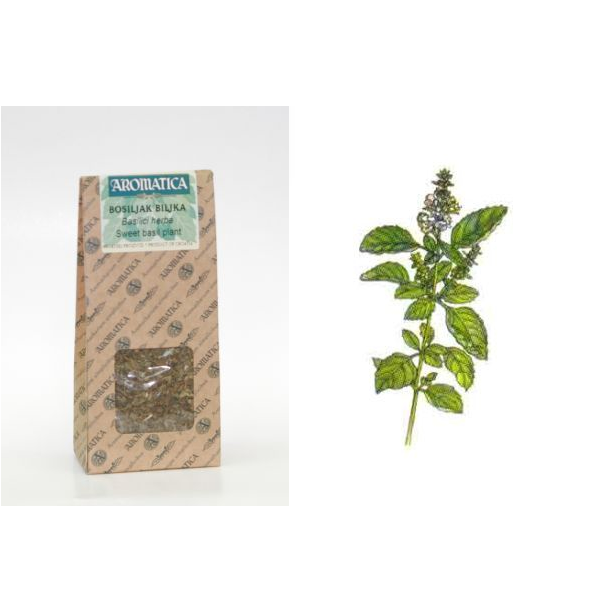Basil plant 30 g, Ocimum basilicum