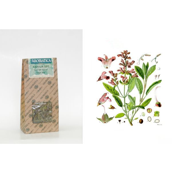 Foglia di Salvia 20 g, Salviae folium