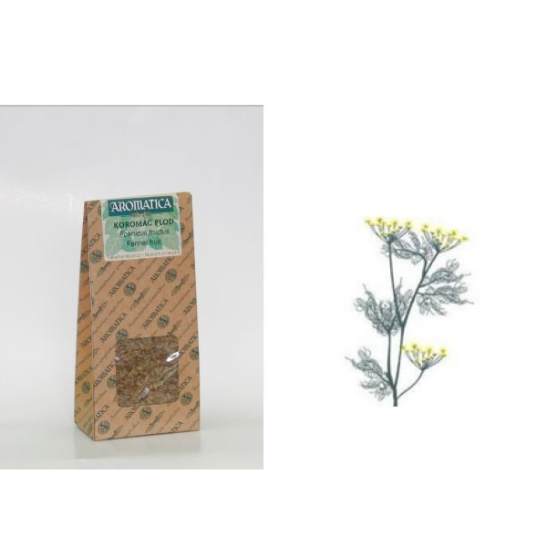 Frutto di Finocchio 60 g, Foeniculi fructus