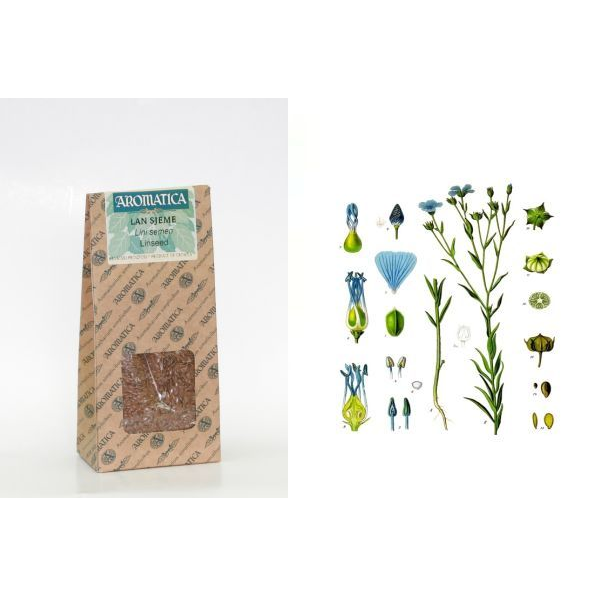 Semi di lino 100 g, Lino
