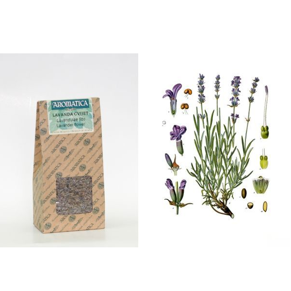 Lavender flower 30 g, Lavandulae flos
