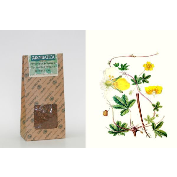 Radice a cinque dita 100 g, Rhizoma Potentillae
