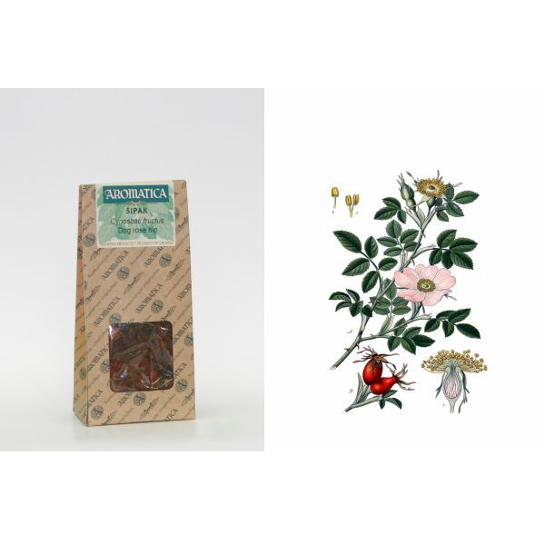 Rosa canina 60 g, frutti di Cynosbati