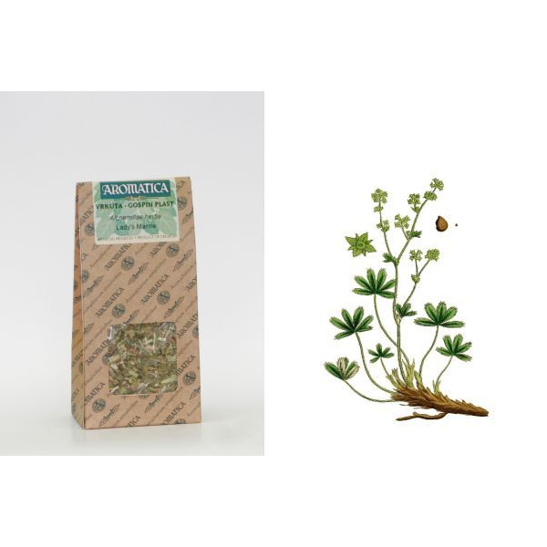 Foglia di Alchemilla con Stelo 30 g, Alchemillae herba