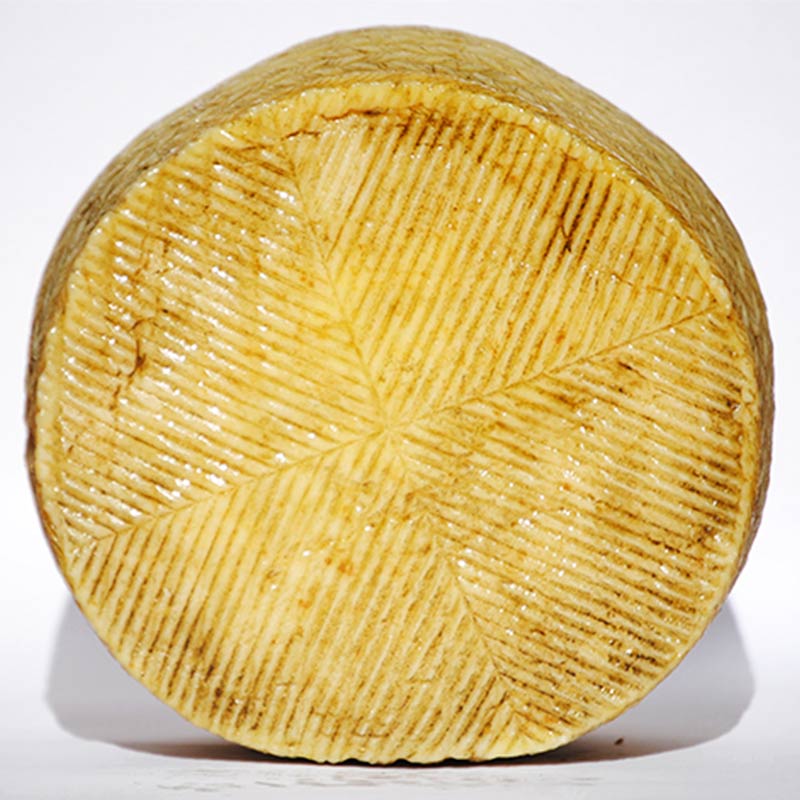 Queso semicurado mezcla