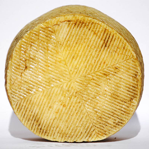 Queso semicurado mezcla