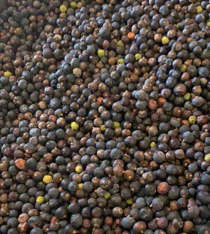 Juniper Berries 30 g