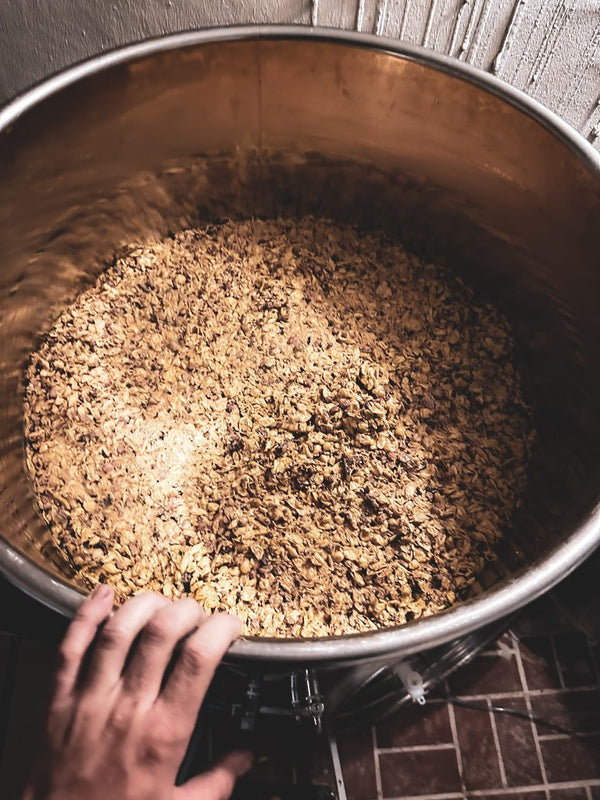 Malvasia - Vision - 2020