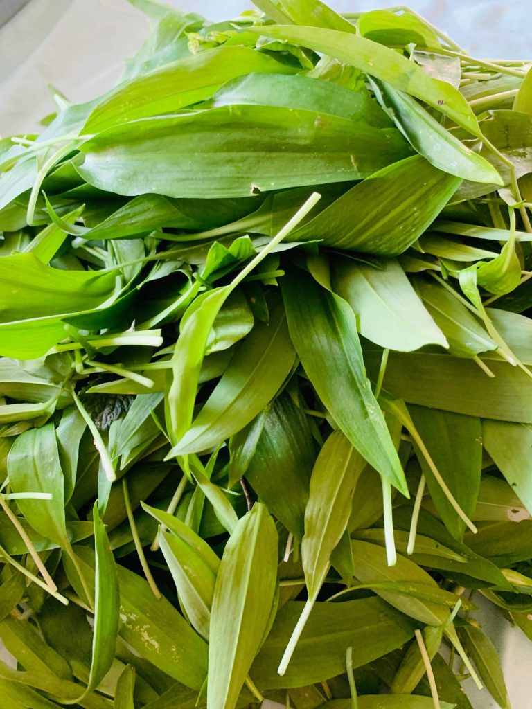 Wild Garlic - Dried Garlic Powder 50 g