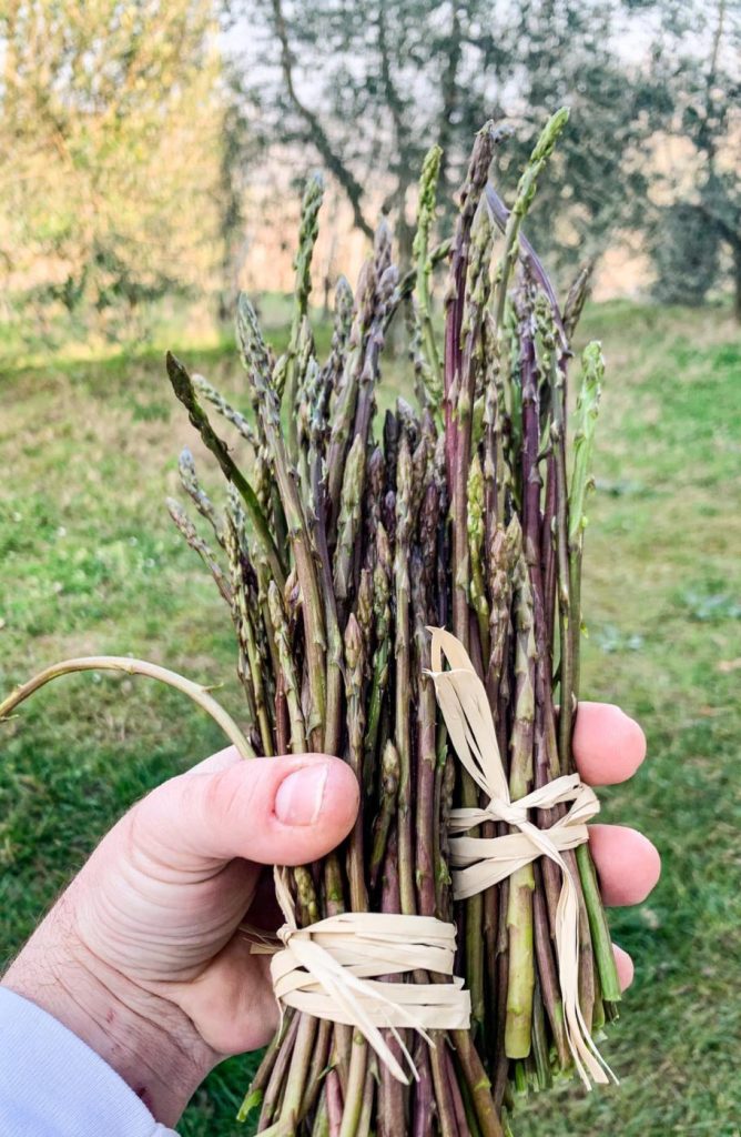 Wild Asparagus 100 g