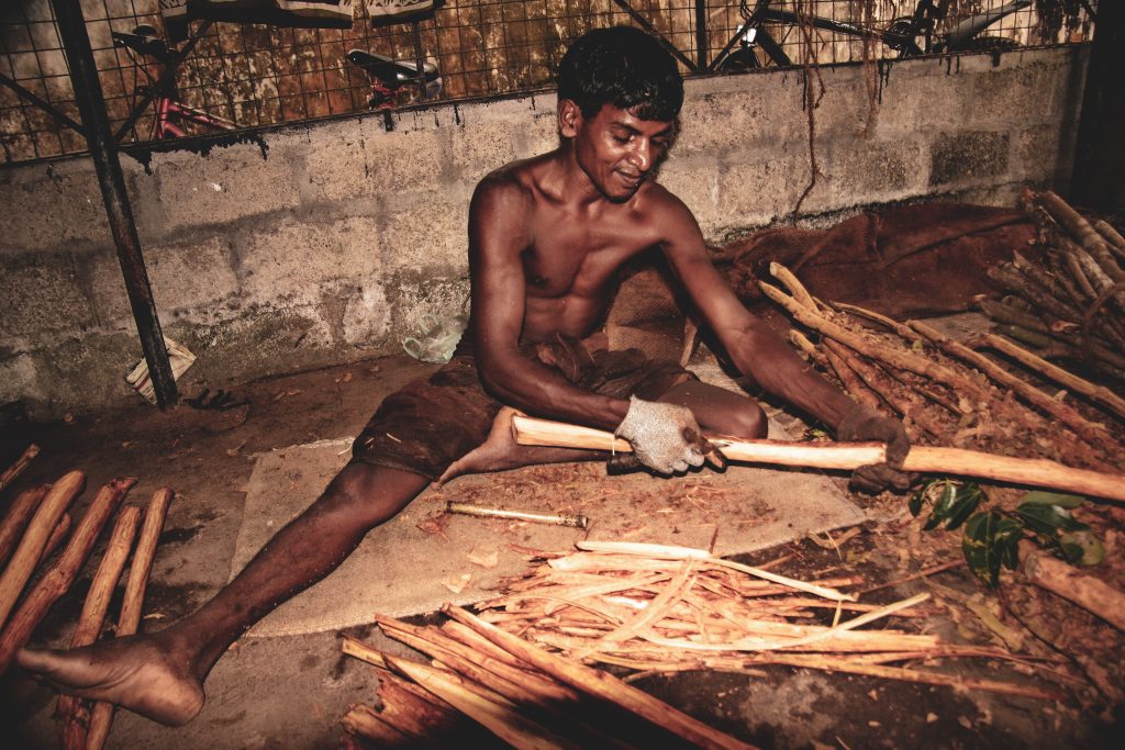 True Cinnamon 50 g - Sri Lanka